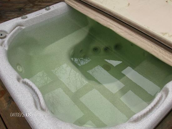 Hot Tub Water Cloudy Green