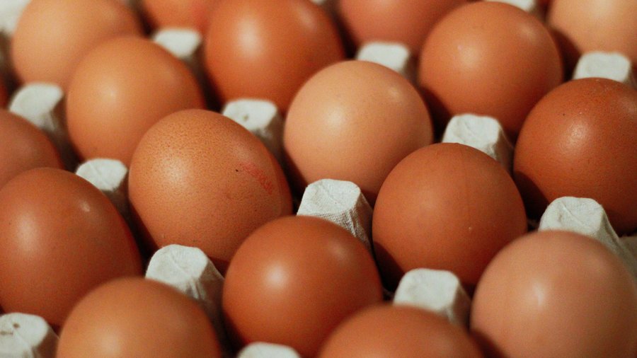 hot-tub-smells-rotten-eggs